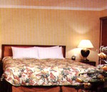 ��C�R�[�g���[�h�@�v�E�h���@�ĘD���}���X�iCourtyard Shanghai Pudong�j