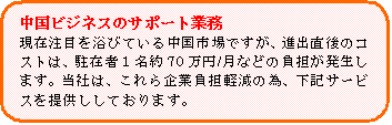 ���ӥ��ͥ����ݡ���,�峤�����Ω,��̳����Ω��̳